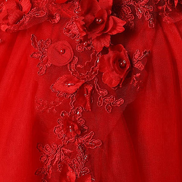 Girl Girls' Princess Party Flower Dress