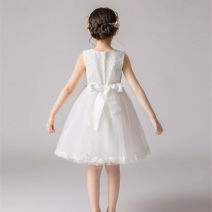 Flower Girl Princess Kid's Girls' Dress