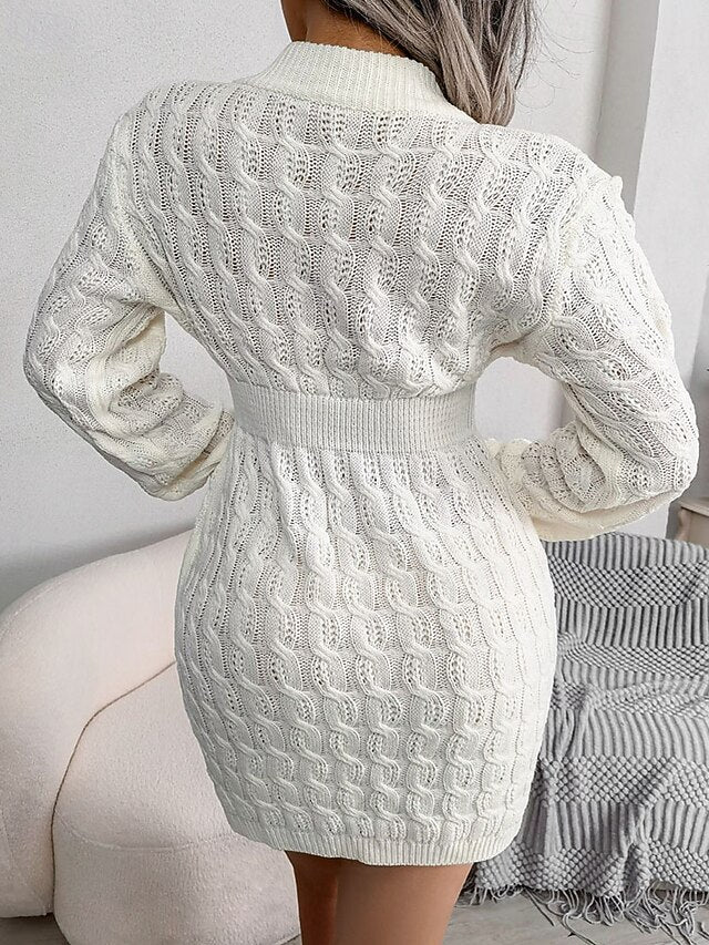 Women's Mini Dress Sweater Dress Bodycon Sheath Dress