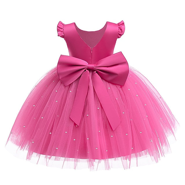 Flower Princess Girl Girls' Communion Dress First
