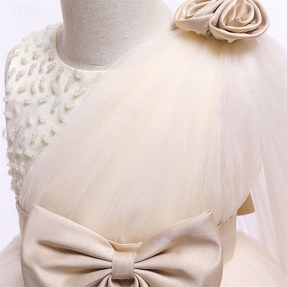 Flower Girl Kid's Princess Girls' Dress