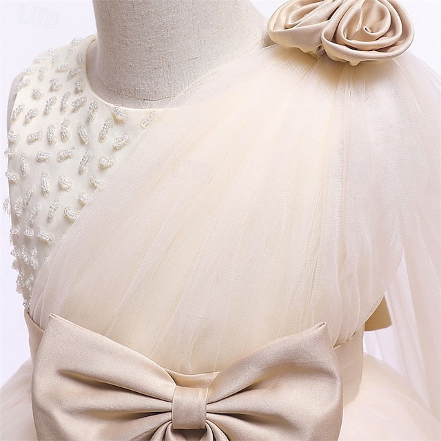 Princess Kid's Girls' Dress Flower Girl