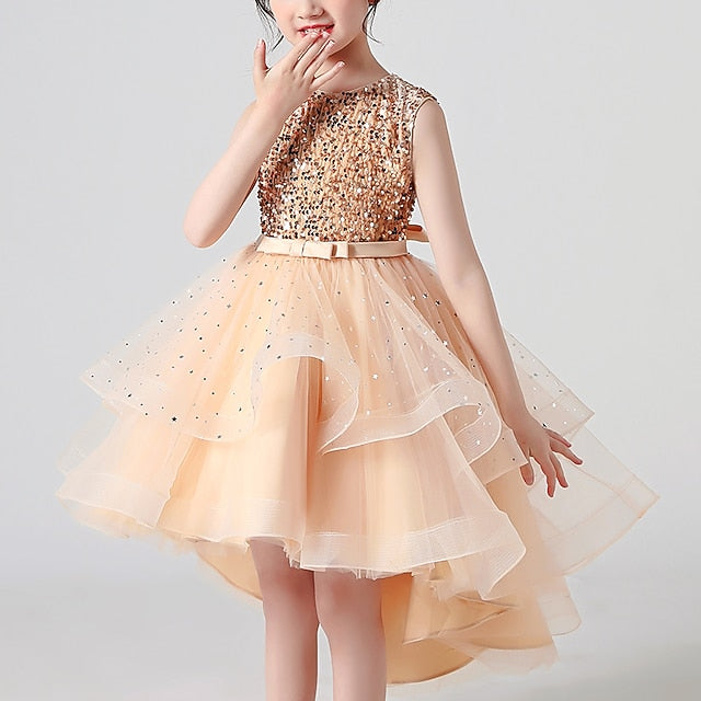 Princess Party Girl Dress Girls' Flower