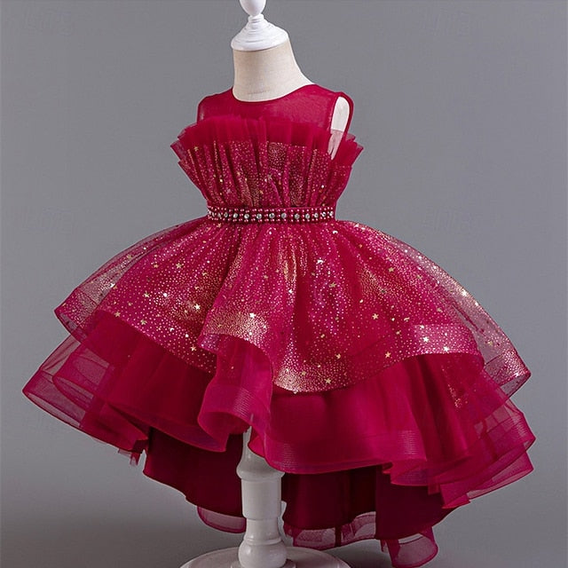 Girl Girls' Kid's Flower Princess Dress