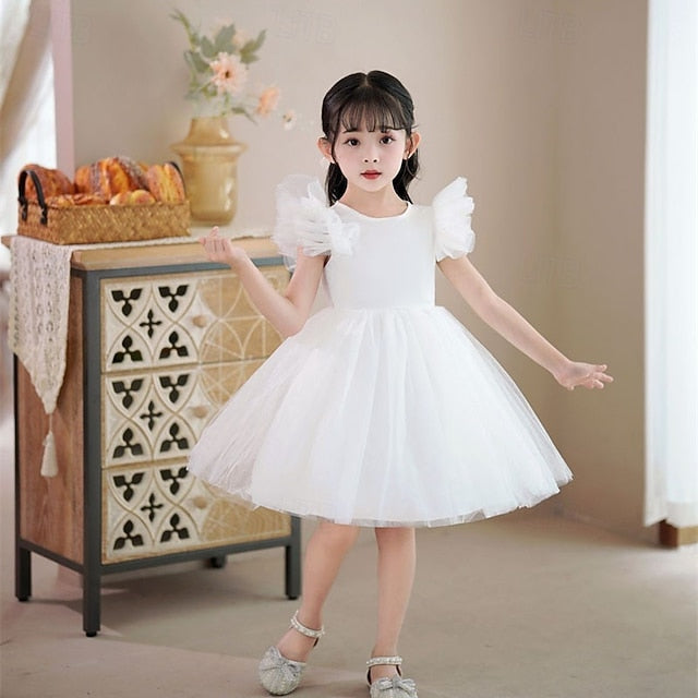 Flower Girls' Princess Kid's Dress Girl
