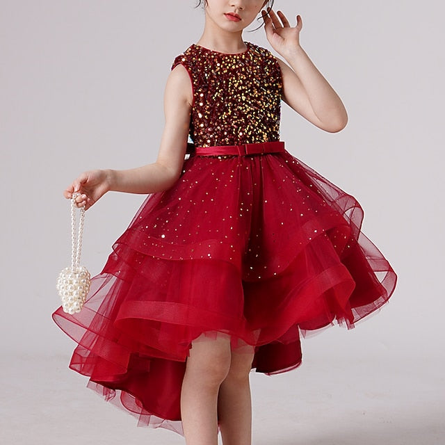 Princess Party Girl Dress Girls' Flower