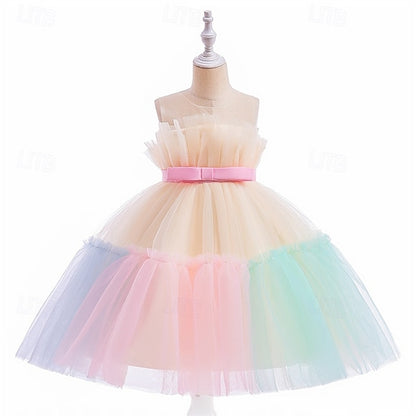 Princess Girls' Flower Girl Kid's Dress