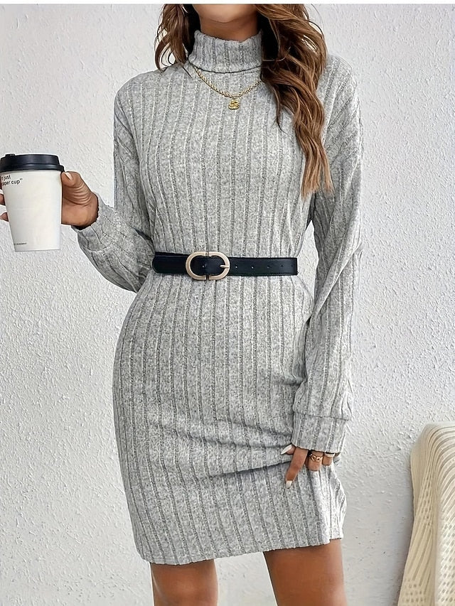 Women's Mini Dress Sweater Dress Casual Dress Fashion