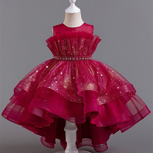 Girl Girls' Kid's Flower Princess Dress