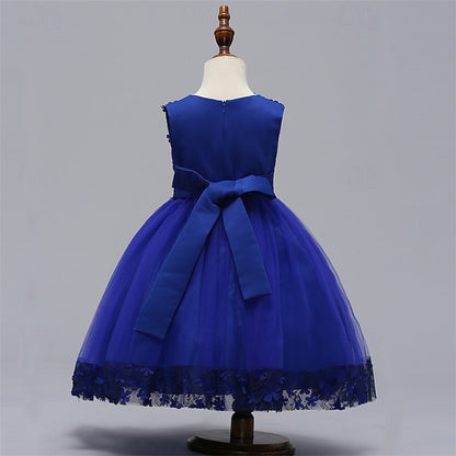 Princess Girls' Girl Dress Flower Kid's