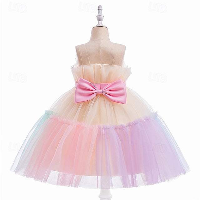 Princess Girls' Flower Girl Kid's Dress
