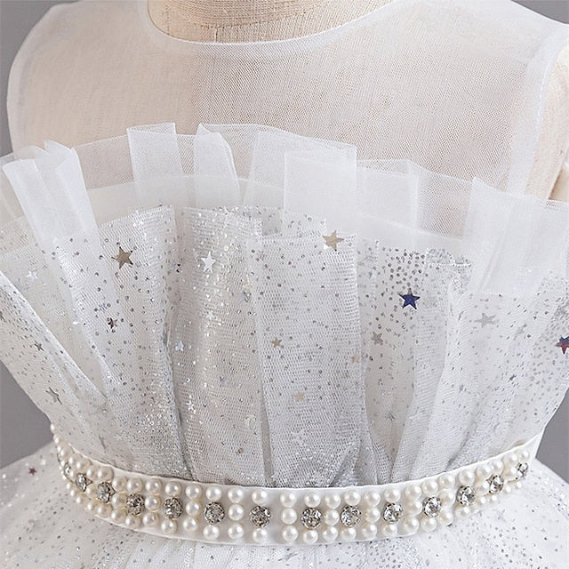 Girl Girls' Kid's Flower Princess Dress