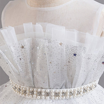 Girl Girls' Kid's Flower Princess Dress