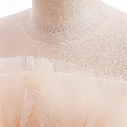 Princess Girls' Flower Girl Kid's Dress