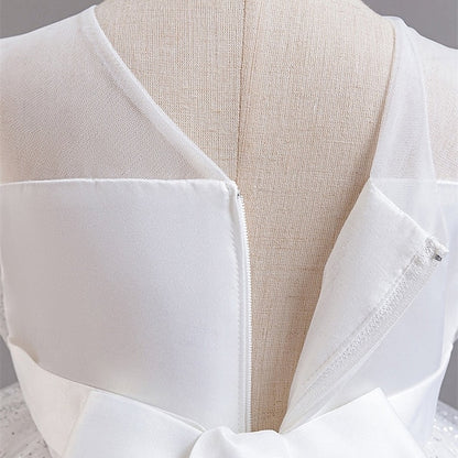 Girl Girls' Kid's Flower Princess Dress