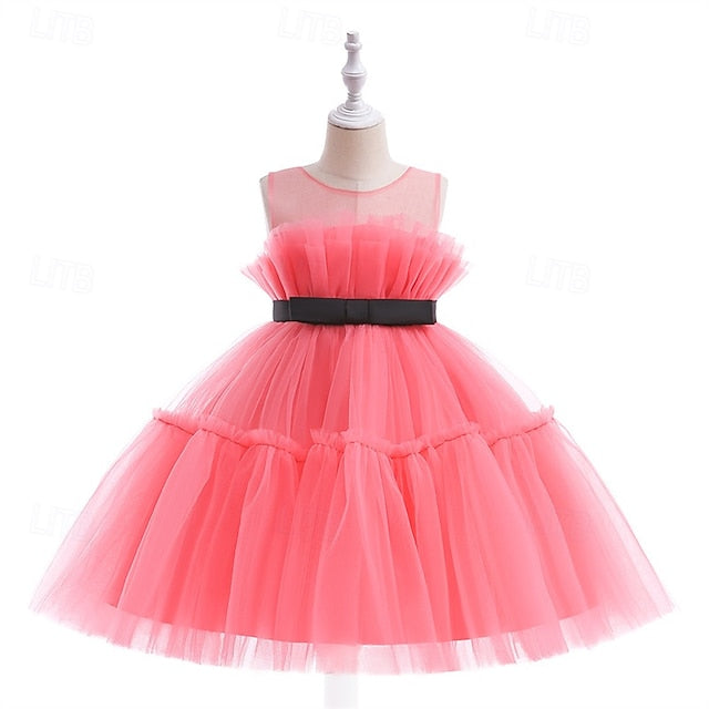 Princess Girls' Flower Girl Kid's Dress